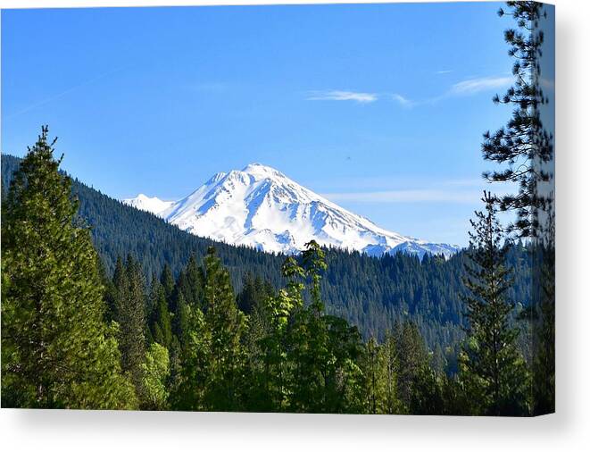 Mount Shasta Canvas Print featuring the photograph Mount Shasta by Maria Jansson