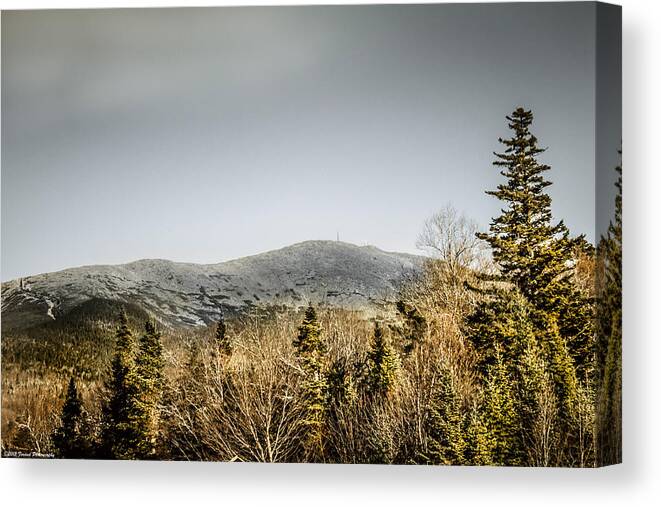 Scenic Canvas Print featuring the photograph Mount Washington by Debra Forand
