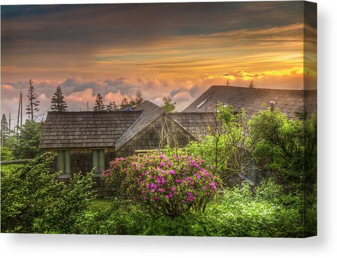 Appalachia Canvas Print featuring the photograph Mountain Flowers at Sunrise by Debra and Dave Vanderlaan