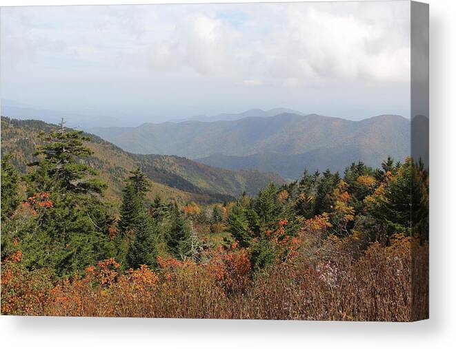 Long Range Views Canvas Print featuring the photograph Mountain Long View by Allen Nice-Webb
