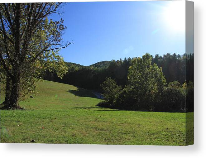 Meadow Canvas Print featuring the photograph Mountain Meadow by Karen Ruhl