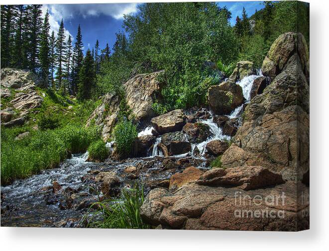 Landscape Canvas Print featuring the photograph Mountain Stream 3 by Pete Hellmann