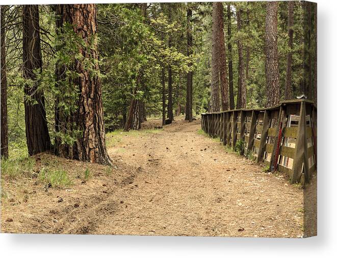 Trail Canvas Print featuring the photograph Mountain Trail by Ben Graham