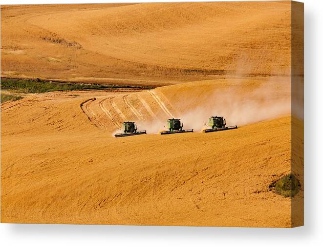 Harvest Canvas Print featuring the photograph Moving Forward by Mary Jo Allen