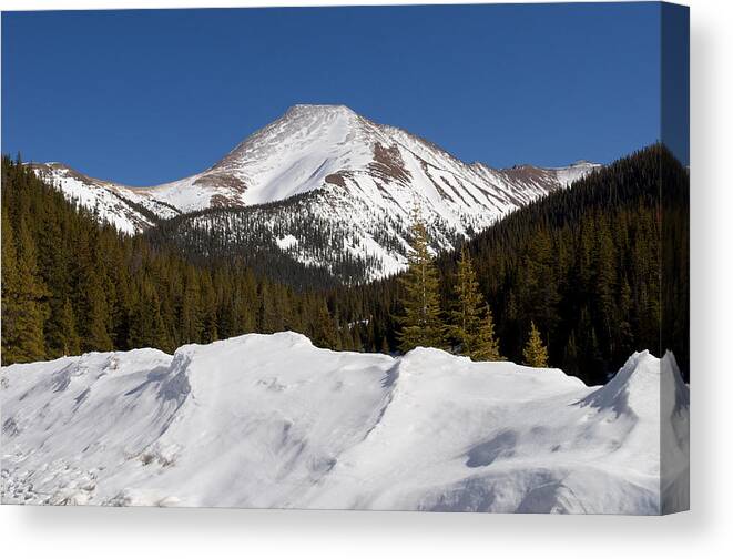 Guyot Canvas Print featuring the photograph Mt. Guyot by Aaron Spong