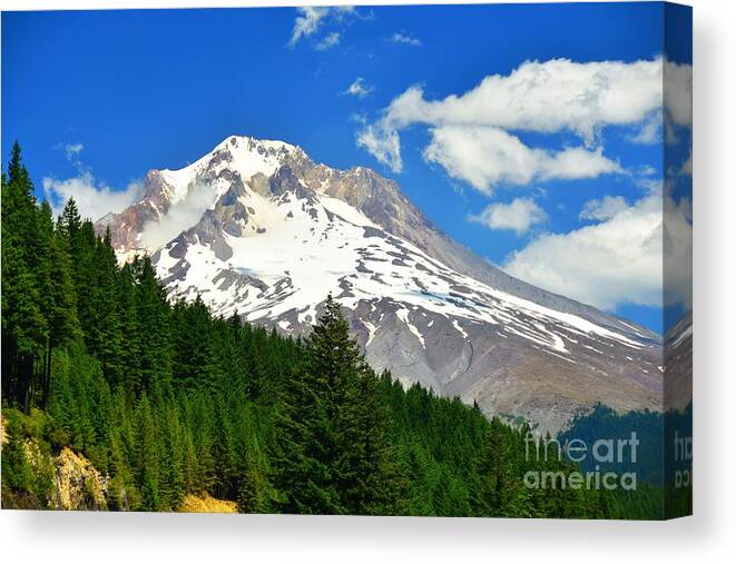 Mt Hood Canvas Print featuring the photograph Mt Hood by Scott Cameron