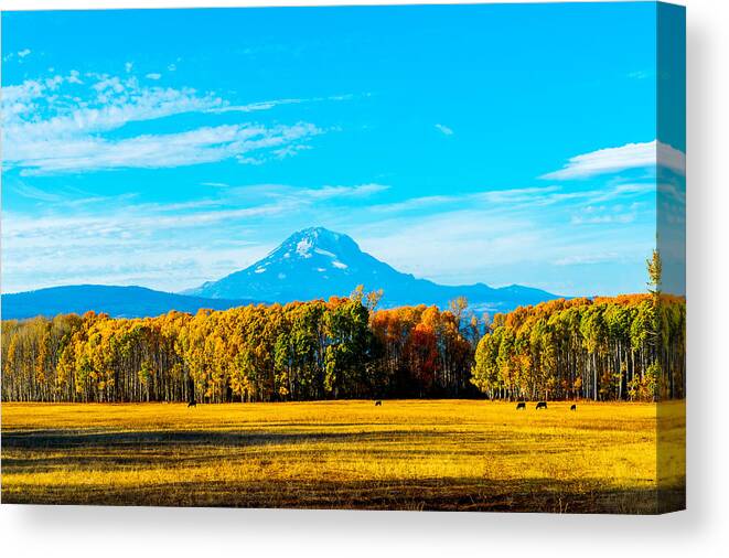 Landscape Canvas Print featuring the photograph Mt.Adams in fall by Hisao Mogi