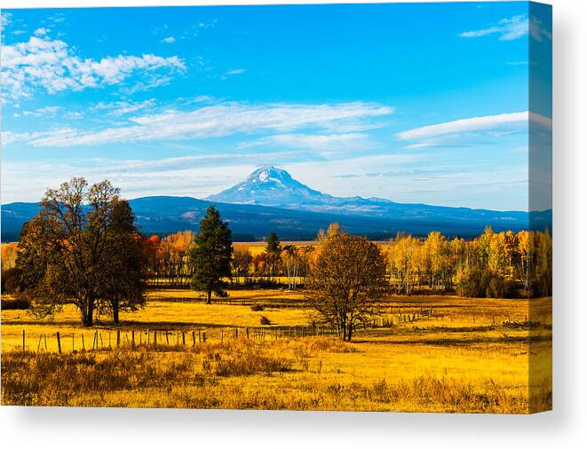 Landscape Canvas Print featuring the photograph Mt.Adams in Fall color by Hisao Mogi
