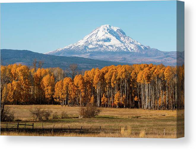 Landscape Canvas Print featuring the photograph Mt.Adams-Snow Covered by Hisao Mogi