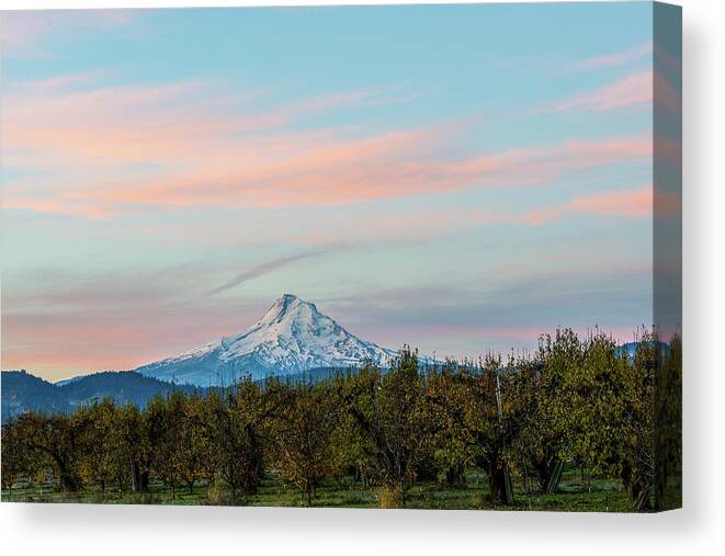 Landscape Canvas Print featuring the photograph Mt.Hood in Morning glow by Hisao Mogi