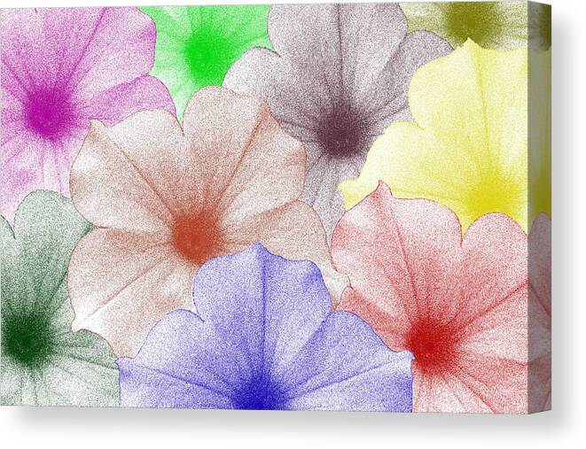 Flores Canvas Print featuring the photograph Muchos Flores by Rodger Mansfield