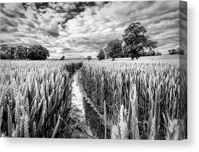 Landscape Canvas Print featuring the photograph Muddy Path by Nick Bywater