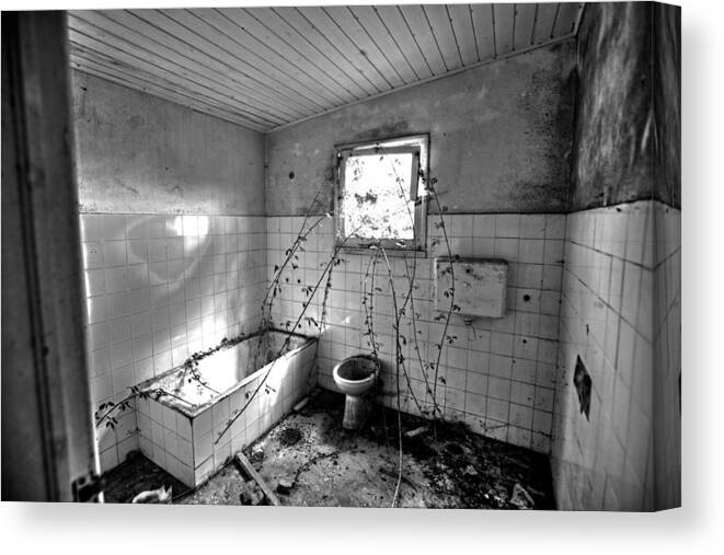 Agriculture Canvas Print featuring the photograph My Bathroom by Joseph Amaral