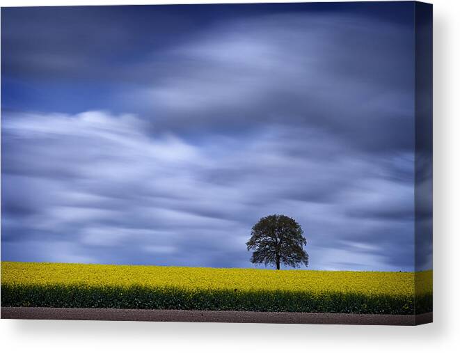 Landscape Canvas Print featuring the photograph My close Friend by Dominique Dubied