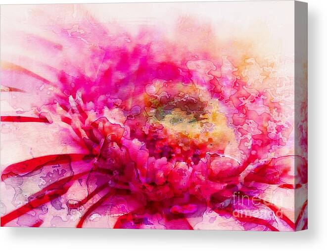 Gerbera Canvas Print featuring the photograph My Favourite Abstract by Clare Bevan