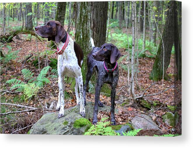  Canvas Print featuring the photograph My Girls by Brook Burling