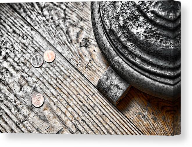 Sharon Popek Canvas Print featuring the photograph My Three Cents by Sharon Popek