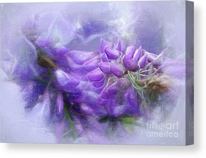 Mystical Wisteria Canvas Print featuring the photograph Mystical Wisteria by Kaye Menner by Kaye Menner