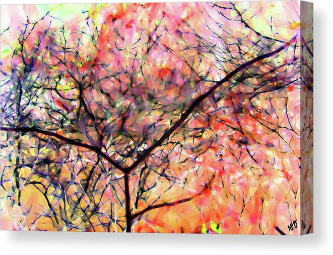 Figurative Abstract Canvas Print featuring the photograph Mystique around the Bayou by Gina O'Brien