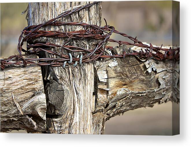 Wire Canvas Print featuring the photograph Nails And Wire by Phyllis Denton