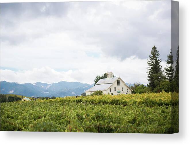 Napa Valley Canvas Print featuring the photograph Napa Valley White Barn by Aileen Savage