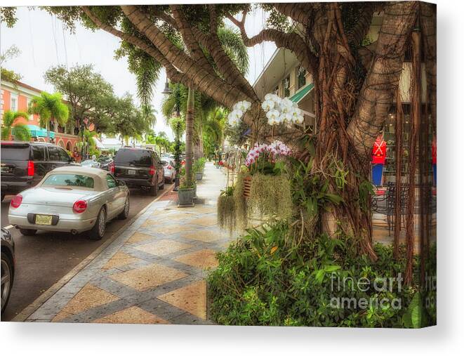 Florida Canvas Print featuring the photograph Naples 6 by Timothy Hacker