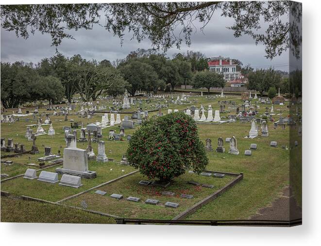 Natchez Mississippi Ms Canvas Print featuring the photograph Natchez Cemetary by Gregory Daley MPSA