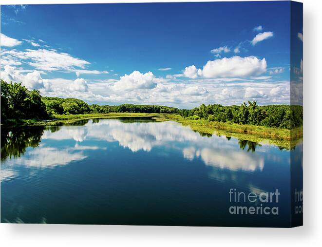 Austria Canvas Print featuring the photograph National Park Wetlands of the River Danube in Austria by Andreas Berthold