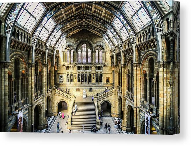 Natural History Canvas Print featuring the photograph Natural History by Michael Hope