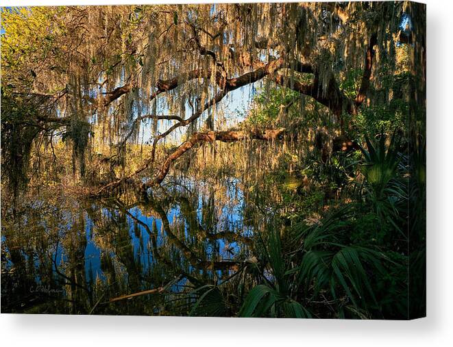 Landscape Canvas Print featuring the photograph Naturally Florida by Christopher Holmes
