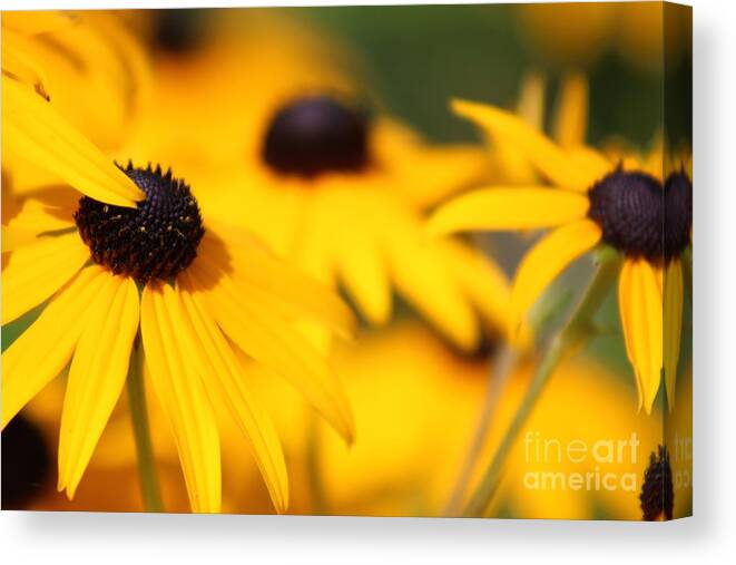 Yellow Canvas Print featuring the photograph Nature's Beauty 50 by Deena Withycombe