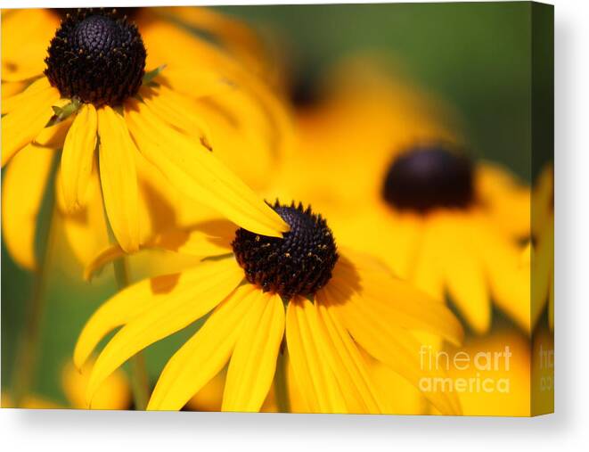 Yellow Canvas Print featuring the photograph Nature's Beauty 51 by Deena Withycombe