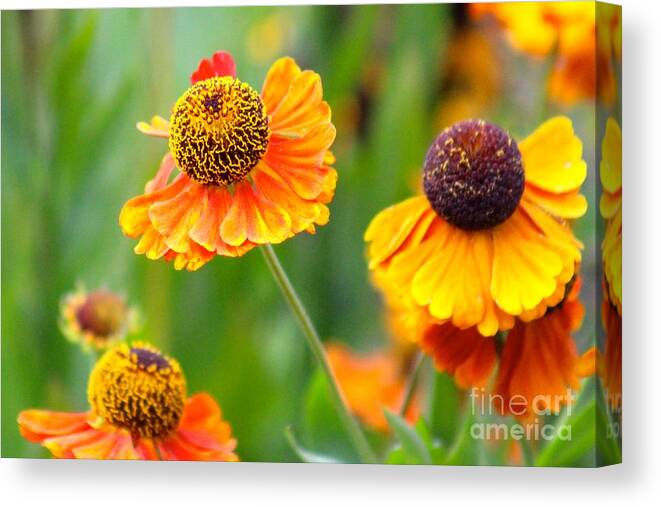 Orange Canvas Print featuring the photograph Nature's Beauty 88 by Deena Withycombe