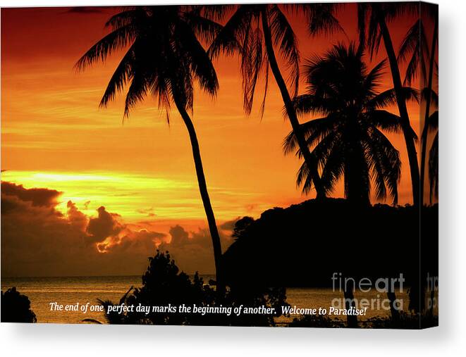 Tropical Island Sunset Canvas Print featuring the photograph New Beginning by Scott Cameron