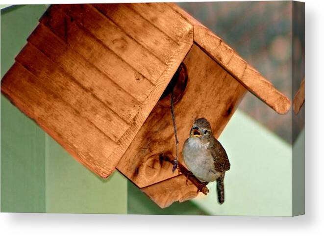 Birdhouse Canvas Print featuring the photograph New Brood Ready by Barbara S Nickerson