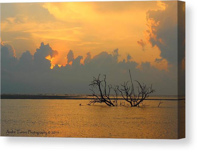Sunrise Canvas Print featuring the photograph New Day by Andre Turner