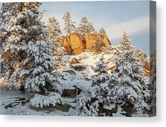 Rimrocks Canvas Print featuring the photograph New Snow on the Rims by Jack Bell