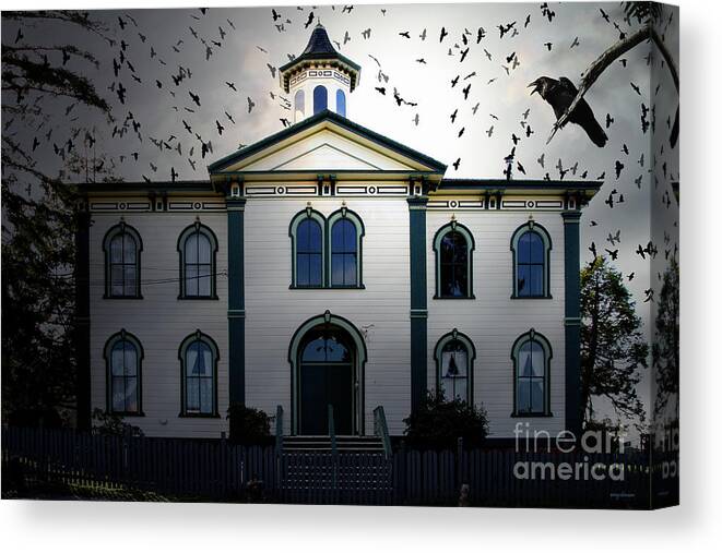 Wingsdomain Canvas Print featuring the photograph Night of The Birds . 7D12487 by Wingsdomain Art and Photography