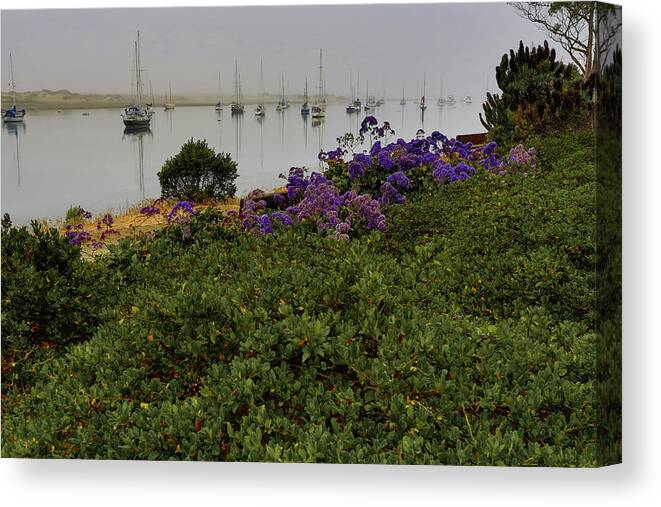 Morro Bay Canvas Print featuring the photograph No Wind for Sailing by Dillon Kalkhurst