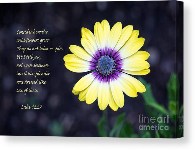 Nature Canvas Print featuring the photograph No Worries by Sharon McConnell