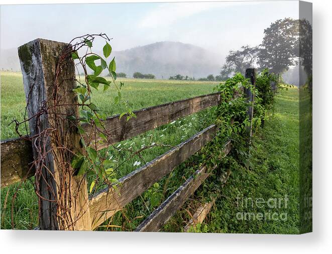 Fog Canvas Print featuring the photograph North Road View by Jim Gillen