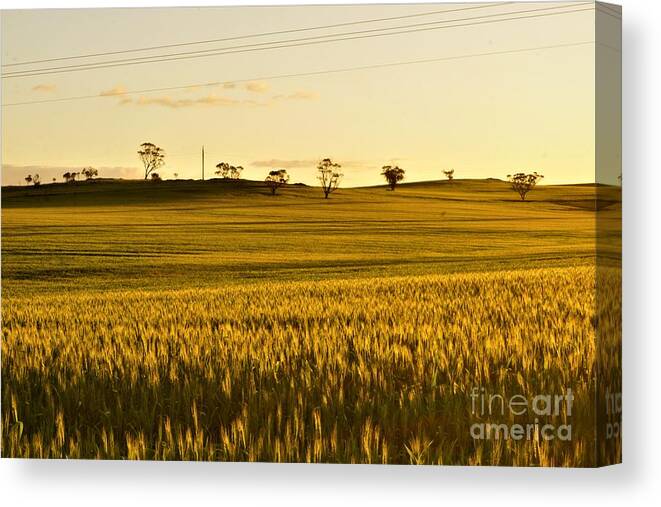 Northam Canvas Print featuring the photograph Northam by Cassandra Buckley