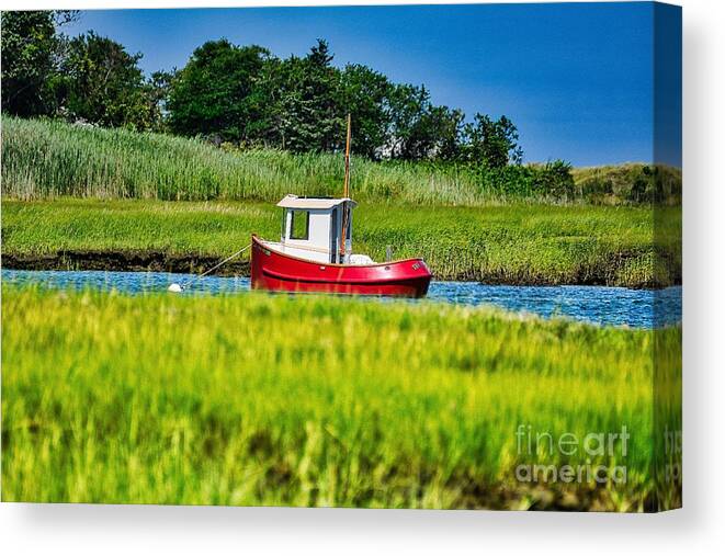Cape Cod Canvas Print featuring the photograph Northeast by Buddy Morrison