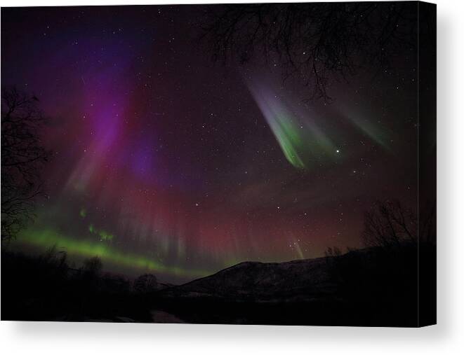 Northern Lights Canvas Print featuring the photograph Northern Lights Color Show by Pekka Sammallahti