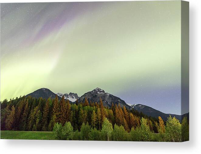 Photosbymch Canvas Print featuring the photograph Northern Lights over Overlander Mountain by M C Hood
