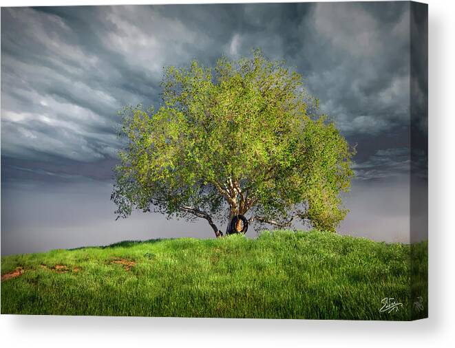 Oak Tree Canvas Print featuring the photograph Oak Tree With Tire Swing by Endre Balogh