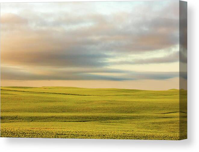 Wheat Canvas Print featuring the photograph Ocean of Wheat by Todd Klassy