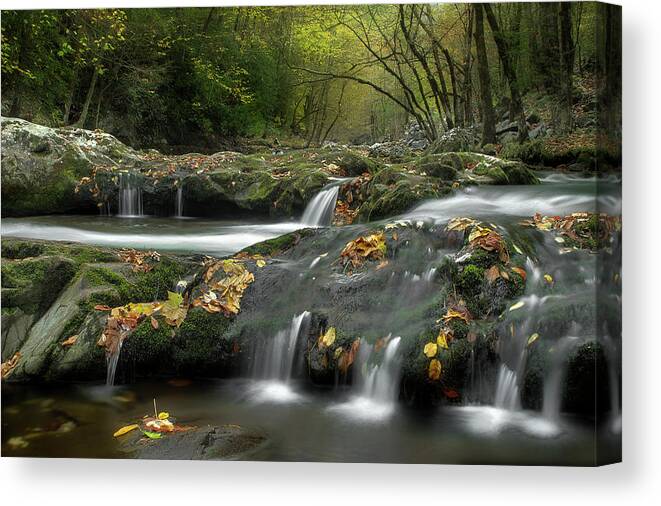 Smoky Mountain Stream Canvas Print featuring the photograph October In The Smokies by Michael Eingle