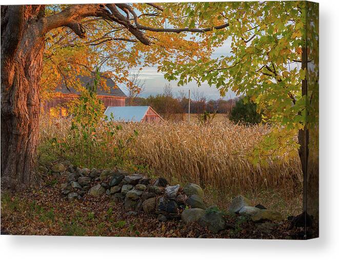 Coutryside Canvas Print featuring the photograph October Morning 2016 by Bill Wakeley