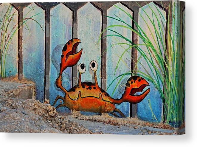 Ocypoid Crab Canvas Print featuring the photograph Ocypoid Crab by Michiale Schneider